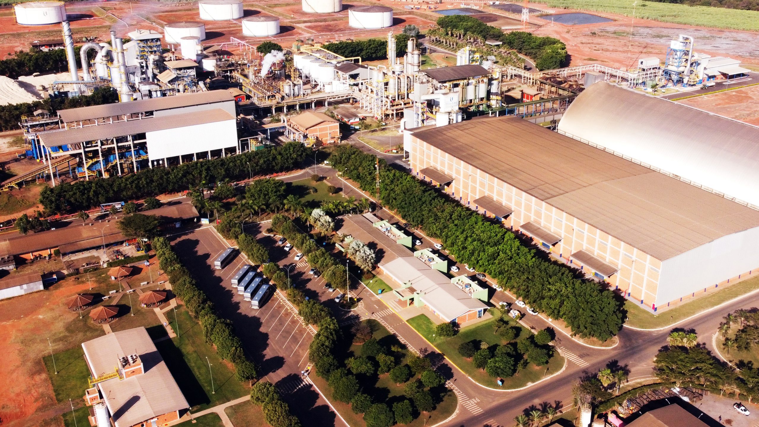 Usina Lins deve moer 4,5 milhões de toneladas de cana-de-açúcar na safra 2024/2025
