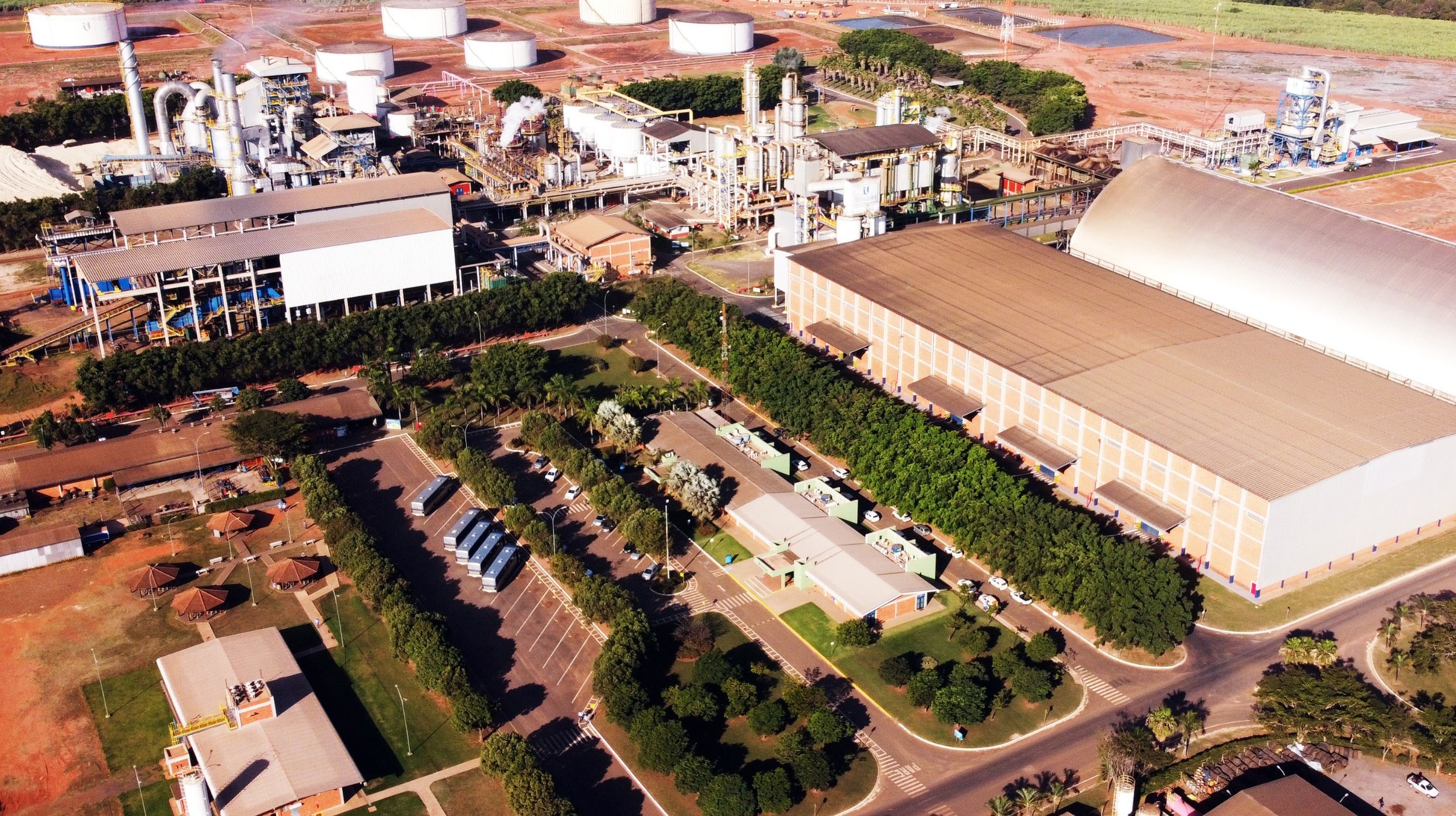 Usina Lins deve moer 4,29 milhões de toneladas  de cana-de-açúcar na safra 2025/2026